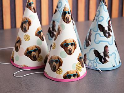Custom Pet Party Hats, Photo Hats with Your Pet's Face