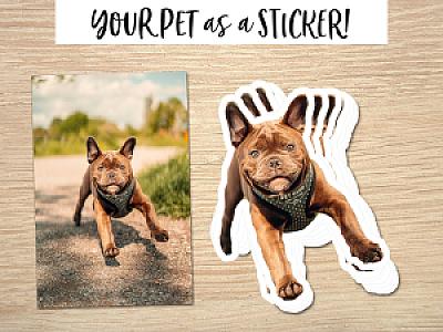 Custom Face Stickers