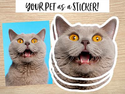 Custom Face Stickers